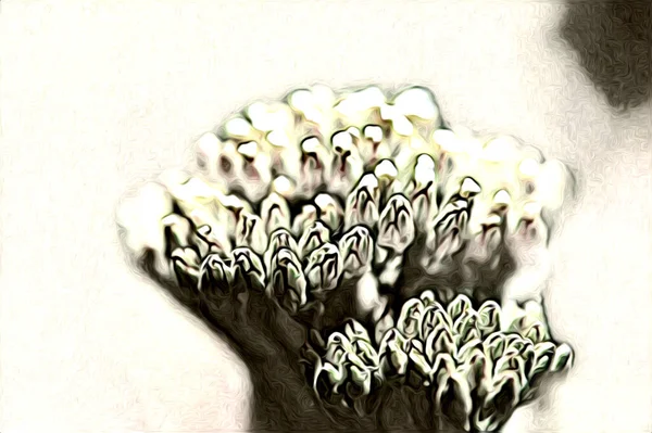 Vintage Bakgrund Med Konst Illustration Blomma Målning — Stockfoto