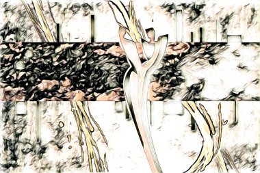 soyut renk tasarımı resim çizimi eskiz retro vintage