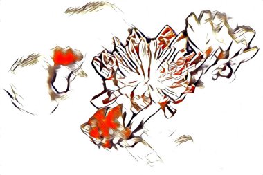 Resim resimli klasik arkaplan