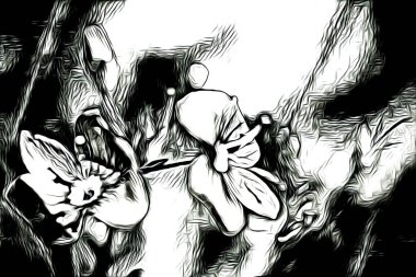 Resim resimli klasik arkaplan