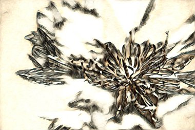 Resim resimli klasik arkaplan