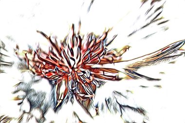 Resim resimli klasik arkaplan