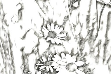 Resim resimli klasik arkaplan