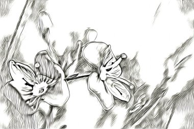 Resim resimli klasik arkaplan