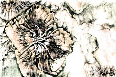 Resim resimli klasik arkaplan