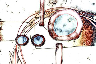 soyut renk tasarımı resim çizimi eskiz retro vintage