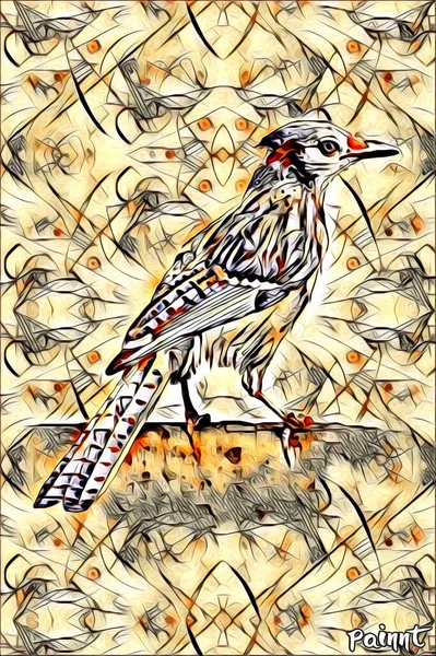 Pássaro Arte Ilustração Cor — Fotografia de Stock