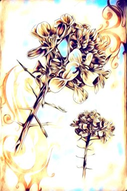 Resim resimli klasik arkaplan