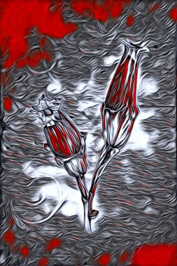 Resim resimli klasik arkaplan