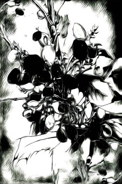 Resim resimli klasik arkaplan