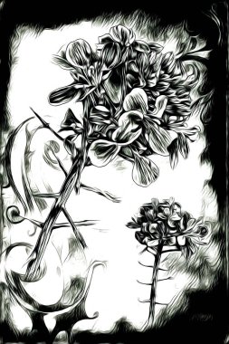 Resim resimli klasik arkaplan