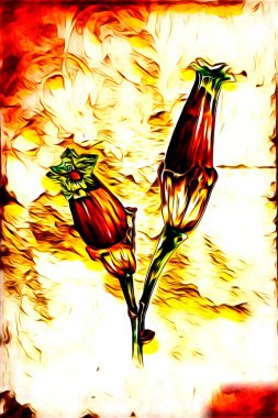 Resim resimli klasik arkaplan