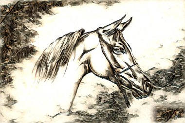 El yazması at başlı kalem çizim çizer grunge