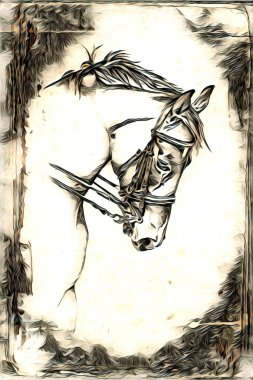 El yazması at başlı kalem çizim çizer grunge