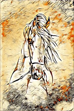 El yazması at başlı kalem çizim çizer grunge