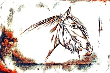 El yazması at başlı kalem çizim çizer grunge