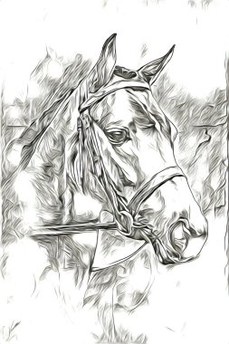 El yazması at başlı kalem çizim çizer grunge