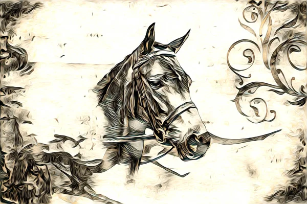 フリーハンド馬頭鉛筆画イラストレーターグランジ — ストック写真