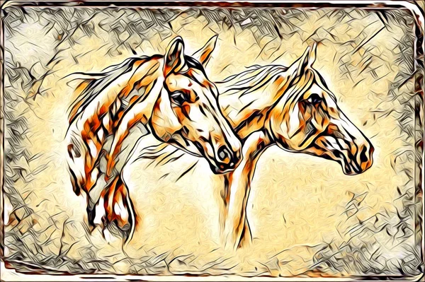 Vrij Hand Paard Hoofd Potlood Tekening Illustrator Grunge — Stockfoto