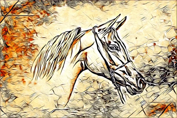 Mano Libera Testa Cavallo Matita Disegno Illustratore Grunge — Foto Stock