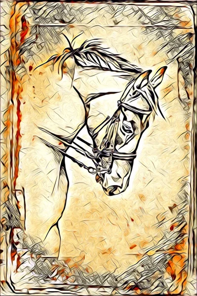 Freehand Horse Head Pencil Drawing Illustrator Grunge — Stock Photo, Image