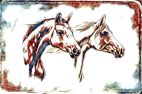 Mano Libera Testa Cavallo Matita Disegno Illustratore Grunge — Foto Stock