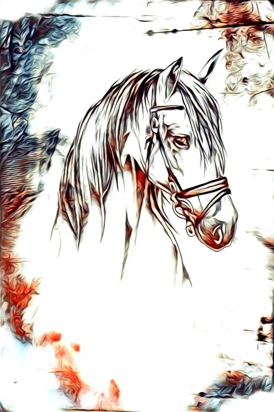 Mano Alzada Caballo Cabeza Lápiz Dibujo Ilustrador Grunge —  Fotos de Stock