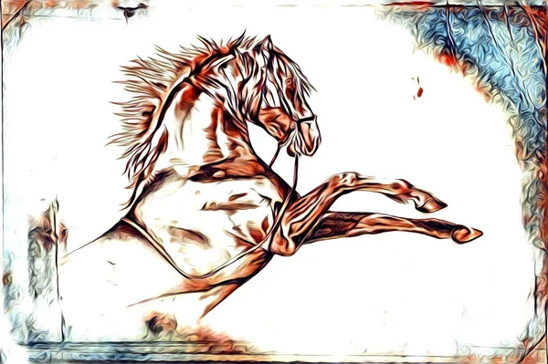 Mano Libera Testa Cavallo Matita Disegno Illustratore Grunge — Foto Stock