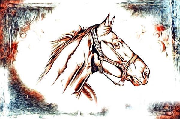 Mano Libera Testa Cavallo Matita Disegno Illustratore Grunge — Foto Stock