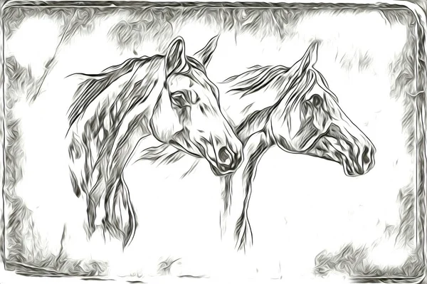 Mano Libera Testa Cavallo Matita Disegno Illustratore Grunge — Foto Stock