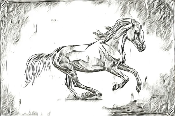 Tête Cheval Main Levée Crayon Dessin Illustrateur Grunge — Photo