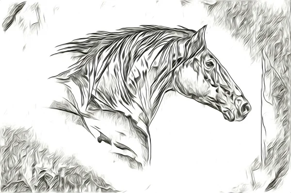 Tête Cheval Main Levée Crayon Dessin Illustrateur Grunge — Photo