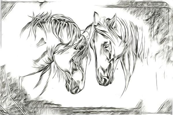 Vrij Hand Paard Hoofd Potlood Tekening Illustrator Grunge — Stockfoto