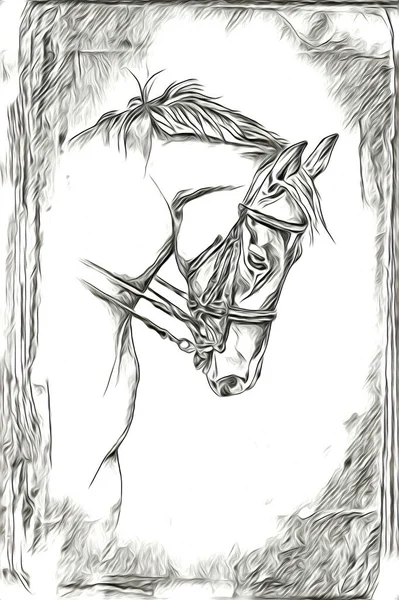 白手起家的马头画笔画家 — 图库照片