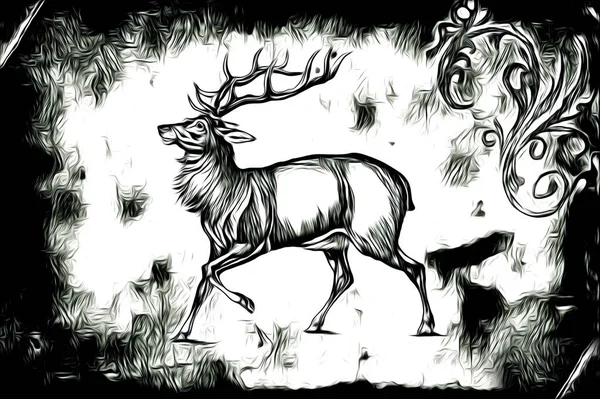 Antique Stag Arte Desenho Artesanal Natureza Ilustração Vintage Retro — Fotografia de Stock