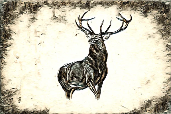 Antique Stag Arte Desenho Artesanal Natureza Ilustração Vintage Retro — Fotografia de Stock