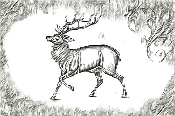 Antico Cervo Arte Disegno Fatto Mano Natura Illustrazione Vintage Retro — Foto Stock