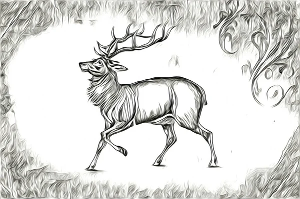 Antique Stag Arte Desenho Artesanal Natureza Ilustração Vintage Retro — Fotografia de Stock