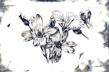 Resim resimli klasik arkaplan