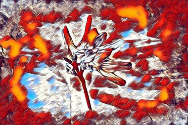 Resim resimli klasik arkaplan