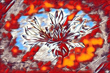 Resim resimli klasik arkaplan