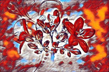 Resim resimli klasik arkaplan