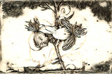 Resim resimli klasik arkaplan