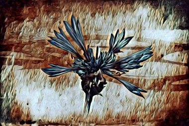 Resim resimli klasik arkaplan