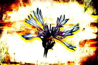 Resim resimli klasik arkaplan