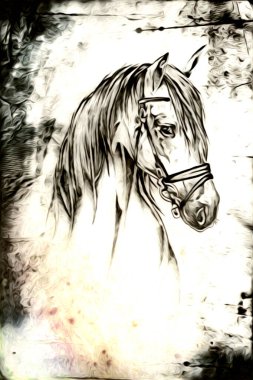 El yazması at başlı kalem çizim çizer grunge