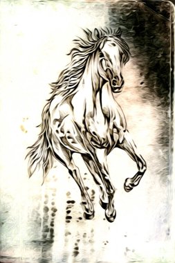 El yazması at başlı kalem çizim çizer grunge