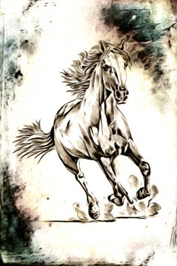 El yazması at başlı kalem çizim çizer grunge