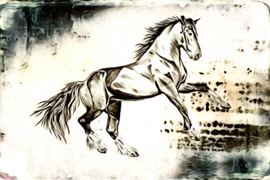 El yazması at başlı kalem çizim çizer grunge