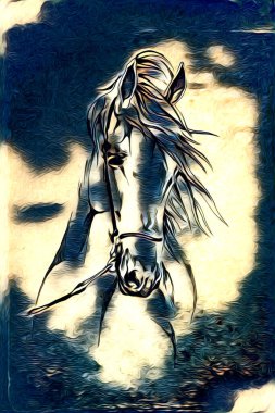 El yazması at başlı kalem çizim çizer grunge